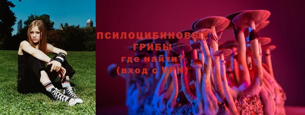 хмурый Армянск